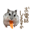 7匹の日常（ママver）（個別スタンプ：2）