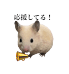 7匹の日常（ママver）（個別スタンプ：7）