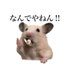 7匹の日常（ママver）（個別スタンプ：9）
