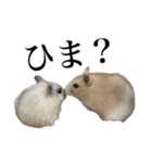7匹の日常（ママver）（個別スタンプ：19）