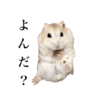 7匹の日常（ママver）（個別スタンプ：26）