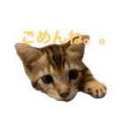 【ジェネッタ】ベルくん（個別スタンプ：4）