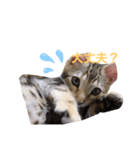 【ジェネッタ】ベルくん（個別スタンプ：5）