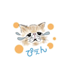 ねこねこ♪よく使う感情・挨拶（個別スタンプ：1）