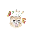 ねこねこ♪よく使う感情・挨拶（個別スタンプ：5）