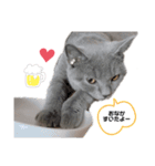 vivien12.15.neko.cat（個別スタンプ：3）