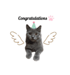 vivien12.15.neko.cat（個別スタンプ：7）