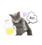 vivien12.15.neko.cat（個別スタンプ：8）