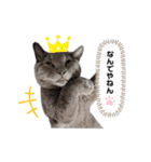 vivien12.15.neko.cat（個別スタンプ：9）