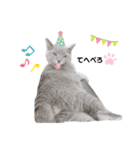 vivien12.15.neko.cat（個別スタンプ：14）