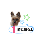 かえりりますー！タンプ（個別スタンプ：1）