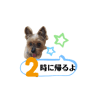 かえりりますー！タンプ（個別スタンプ：2）