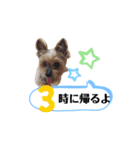 かえりりますー！タンプ（個別スタンプ：3）