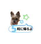 かえりりますー！タンプ（個別スタンプ：5）