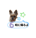 かえりりますー！タンプ（個別スタンプ：6）
