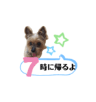 かえりりますー！タンプ（個別スタンプ：7）