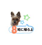 かえりりますー！タンプ（個別スタンプ：8）