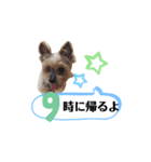 かえりりますー！タンプ（個別スタンプ：9）