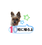かえりりますー！タンプ（個別スタンプ：10）