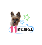 かえりりますー！タンプ（個別スタンプ：11）