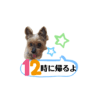 かえりりますー！タンプ（個別スタンプ：12）