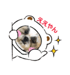 ハウくんスタンプ（個別スタンプ：5）