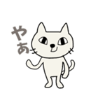 お気楽しろねこ[毎日使う言葉｝（個別スタンプ：1）