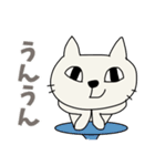 お気楽しろねこ[毎日使う言葉｝（個別スタンプ：13）