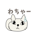 お気楽しろねこ[毎日使う言葉｝（個別スタンプ：20）