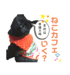 黒猫おまめの日々（個別スタンプ：4）
