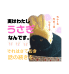 黒猫おまめの日々（個別スタンプ：5）