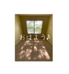窓から差し込む日差しのつぶやき（個別スタンプ：1）