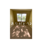 窓から差し込む日差しのつぶやき（個別スタンプ：3）