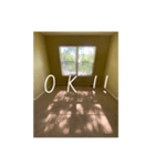 窓から差し込む日差しのつぶやき（個別スタンプ：7）