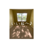 窓から差し込む日差しのつぶやき（個別スタンプ：10）