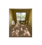窓から差し込む日差しのつぶやき（個別スタンプ：11）