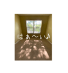 窓から差し込む日差しのつぶやき（個別スタンプ：12）