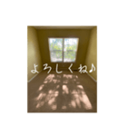 窓から差し込む日差しのつぶやき（個別スタンプ：13）