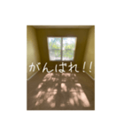 窓から差し込む日差しのつぶやき（個別スタンプ：29）