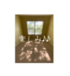 窓から差し込む日差しのつぶやき（個別スタンプ：36）