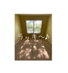 窓から差し込む日差しのつぶやき（個別スタンプ：38）
