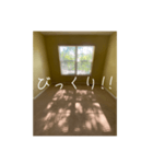 窓から差し込む日差しのつぶやき（個別スタンプ：40）