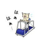 臨犬スタンプ その3（個別スタンプ：26）