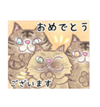 絵本猫「おめでとう」集め（個別スタンプ：11）