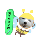ぷうたろうでございます。No.7（個別スタンプ：3）