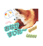 らむ＆ろん（個別スタンプ：7）