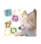らむ＆ろん（個別スタンプ：8）