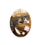 かぶみゅー（個別スタンプ：1）