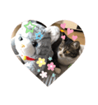 かぶみゅー（個別スタンプ：4）