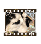 かぶみゅー（個別スタンプ：15）